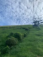 大室山の写真・動画_image_462554