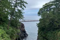 城ヶ崎海岸門脇崎の写真・動画_image_462594