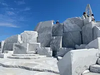未来心の丘の写真・動画_image_462692