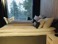 アークティック ツリーハウス ホテルの写真・動画_image_462832