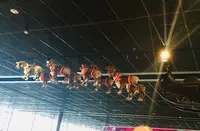 Rovaniemi Airportの写真・動画_image_462843