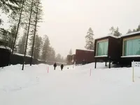 アークティック ツリーハウス ホテルの写真・動画_image_462857