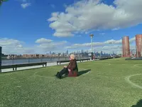 ドミノ・パークの写真・動画_image_462862