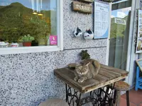 侯硐の写真・動画_image_462982
