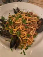 フィグ ツリーの写真・動画_image_463078