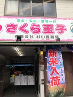 さくらたまご杉山の写真・動画_image_463096