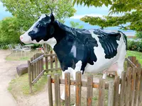 バッケンモーツアルト 廿日市工場直売店の写真・動画_image_463359