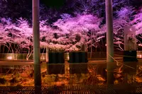 宮城県図書館の写真・動画_image_463381