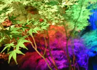 宮城県図書館の写真・動画_image_463382