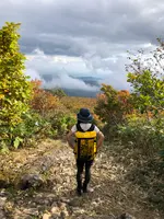 栗駒山の写真・動画_image_463387