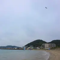 森戸海岸の写真・動画_image_463400