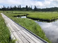 神仙沼の写真・動画_image_463586