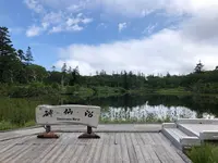 神仙沼の写真・動画_image_463587