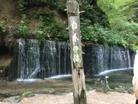 白糸の滝の写真・動画_image_463588