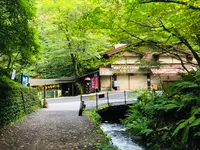白糸の滝の写真・動画_image_463591