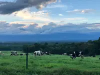 浅間牧場の写真・動画_image_463619