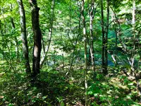 ハルニレテラスの写真・動画_image_463631