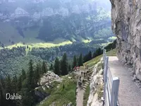 エーベンアップの写真・動画_image_463665