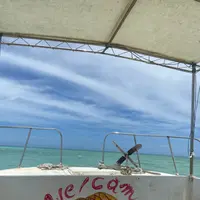 タンディーマリンの写真・動画_image_463763