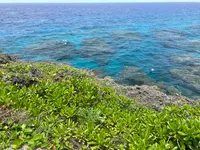 ヨロン駅の写真・動画_image_463769