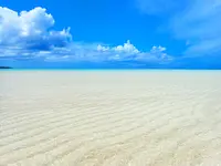 百合ヶ浜の写真・動画_image_463772