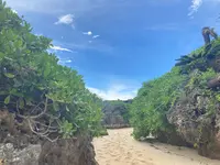 ウドノスビーチの写真・動画_image_463774