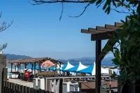 アオアヲナルトリゾートの写真・動画_image_463791