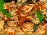 はらこ屋 フラミンゴの写真・動画_image_463924