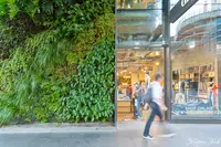 Central Park Mallの写真・動画_image_464214