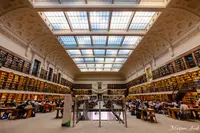 ニューサウスウェールズ州立図書館の写真・動画_image_464290