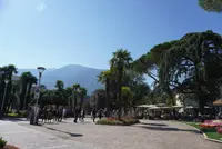 Café Darlingの写真・動画_image_464417