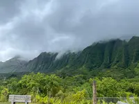 コーコー・クレーター・ボタニカル・ガーデンの写真・動画_image_464439