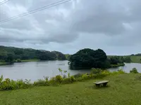 コーコー・クレーター・ボタニカル・ガーデンの写真・動画_image_464440