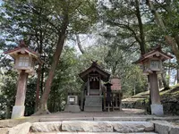 出雲大社の写真・動画_image_464455