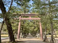 出雲大社の写真・動画_image_464456