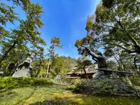 出雲大社の写真・動画_image_464457