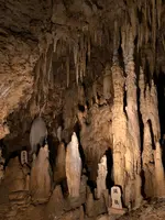 おきなわワールド　文化王国・玉泉洞の写真・動画_image_464568