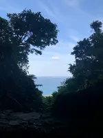 斎場御嶽の写真・動画_image_464580