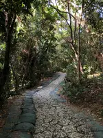斎場御嶽の写真・動画_image_464581