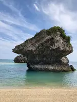 新原（みーばる）ビーチの写真・動画_image_464586
