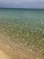 新原（みーばる）ビーチの写真・動画_image_464588