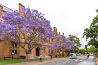 シドニー大学の写真・動画_image_464597