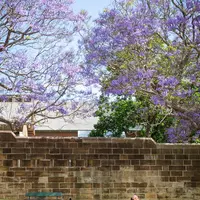 バラックス保護区の写真・動画_image_464606