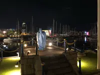 ヌーンデイ・ガンの写真・動画_image_464629