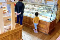KONDITOREI FELDERCHEF（コンディトライ フェルダーシェフ）の写真・動画_image_464691