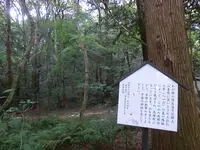 星田妙見宮の写真・動画_image_464714
