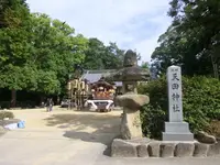 天田神社の写真・動画_image_464717