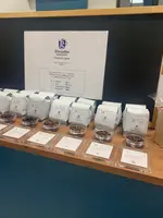 glin coffee 西武本川越ぺぺの写真・動画_image_465128