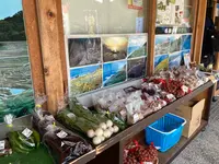 道の駅 千枚田ポケットパークの写真・動画_image_465234