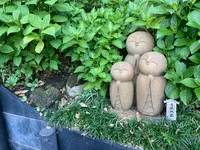 長谷寺の写真・動画_image_465299